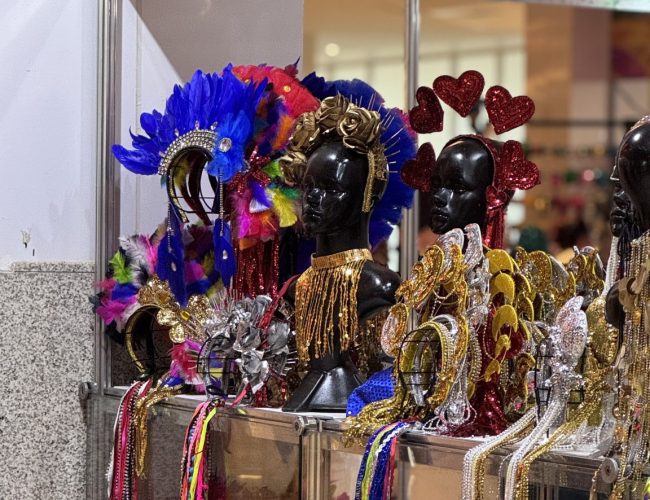Foliões encontram tudo em um só lugar na Cidade Seu Carnaval