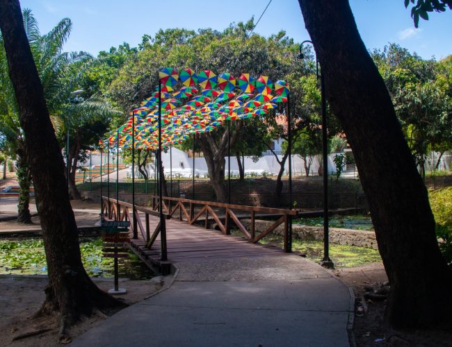 Entre blocos e sabores, Olinda Dá Gosto se firma como ponto gastronômico do Carnaval