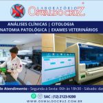 Bazar Solidário do Empreenda ON acontece neste final de semana promovido pelo Fundo Social